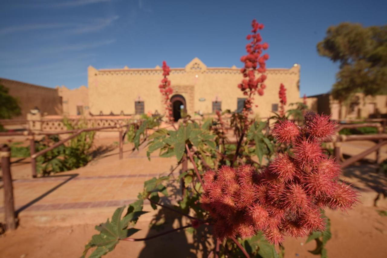 Hotel Kasbah Bivouac Lahmada Hassilabied Ngoại thất bức ảnh